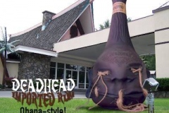 deadhead-rum-show-us-your-head-2015-4