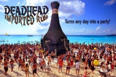 deadhead-rum-show-us-your-head-2015-6