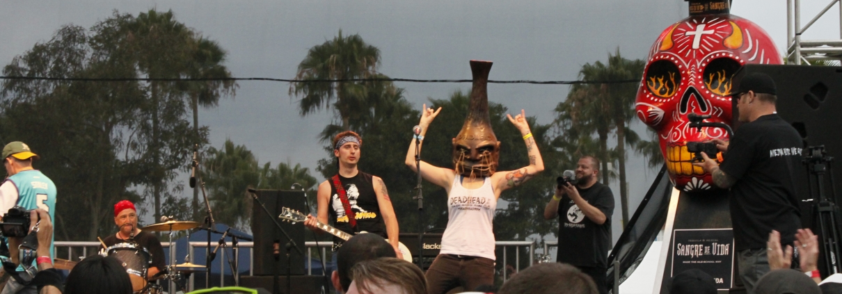 deadhead 2015 Punk Rock Picnic concert