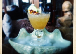 COCKTAIL TUKUPIS shell CUP